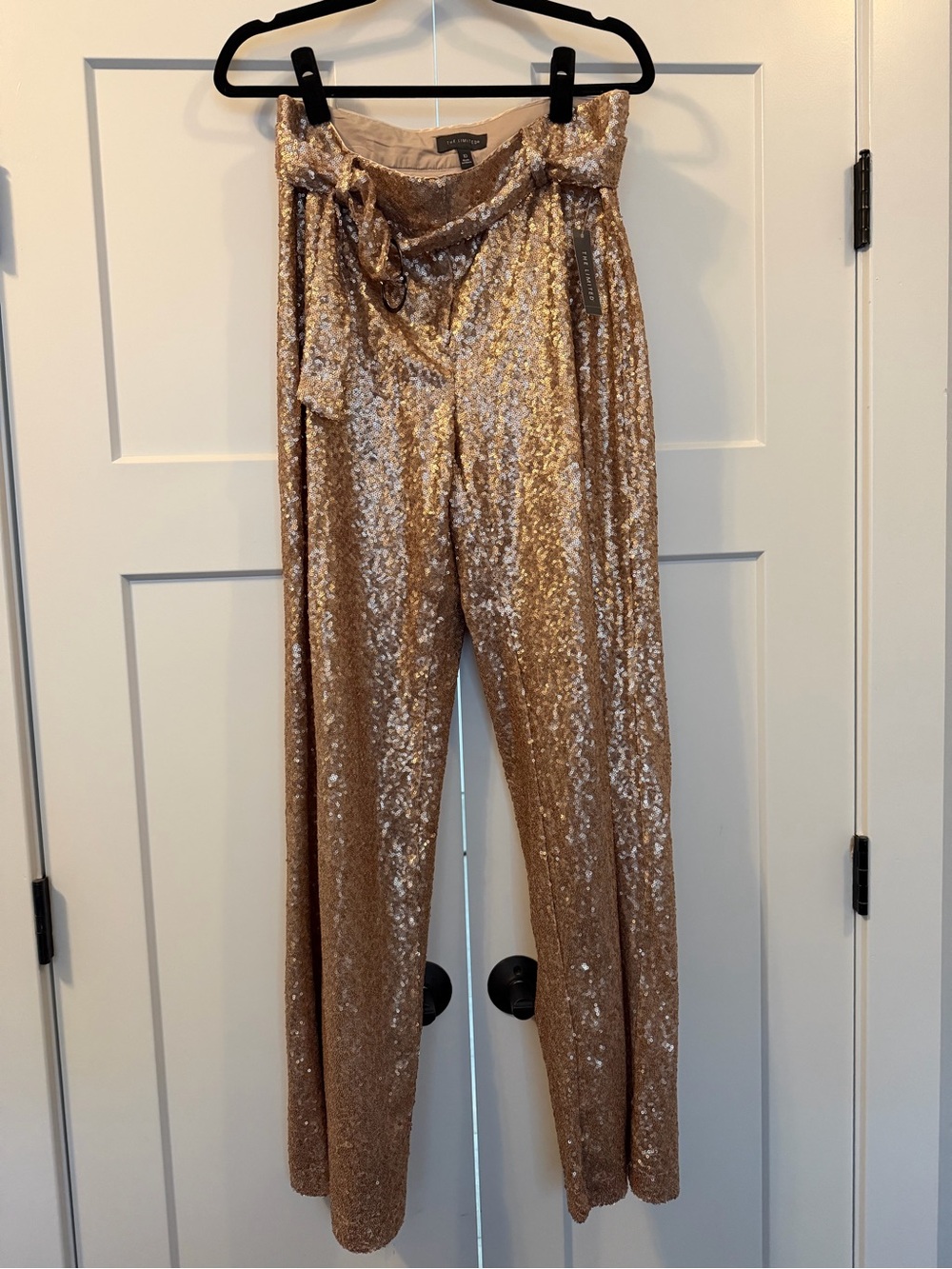 NWT The Limited Champagne Sequin Pants Size 10 MSRP $129